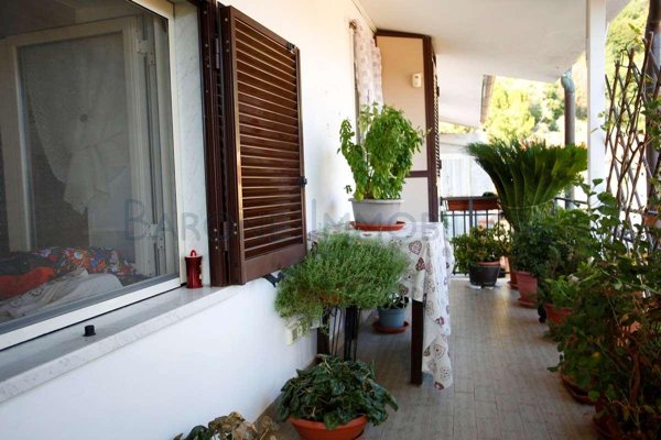 appartamento in vendita a Massa in zona Mirteto