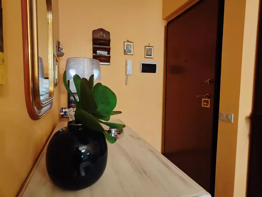 appartamento in vendita a Massa