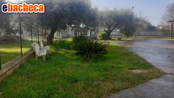 casa indipendente in vendita a Massa in zona Quercioli