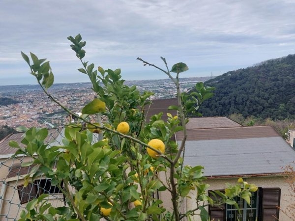 casa indipendente in vendita a Massa in zona Antona