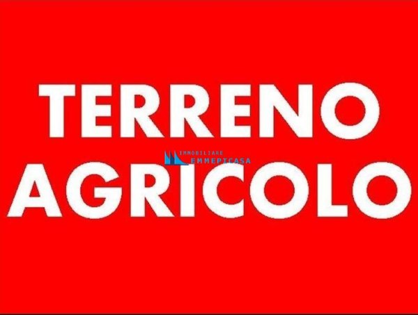 terreno agricolo in vendita a Massa