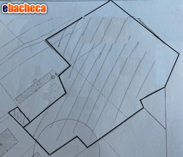 terreno agricolo in vendita a Massa in zona Romagnano