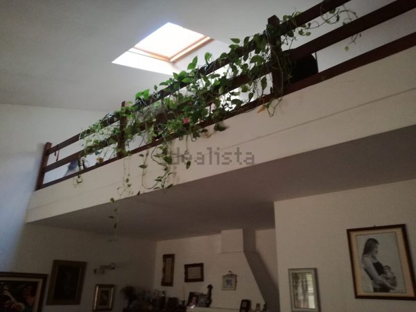 casa indipendente in vendita a Massa in zona Marina di Massa