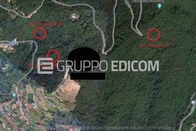 terreno agricolo in vendita a Massa in zona Bargana