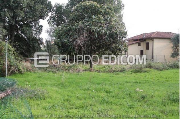 terreno agricolo in vendita a Massa in zona Castagnola