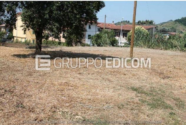 terreno agricolo in vendita a Massa
