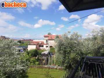 appartamento in vendita a Massa in zona Centro Storico