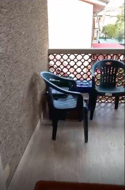 casa indipendente in vendita a Massa in zona Marina di Massa
