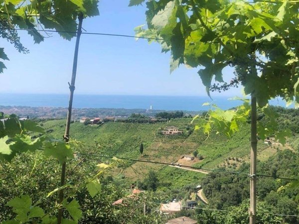 terreno edificabile in vendita a Massa