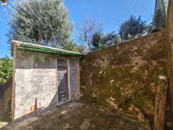 intera palazzina in vendita a Massa
