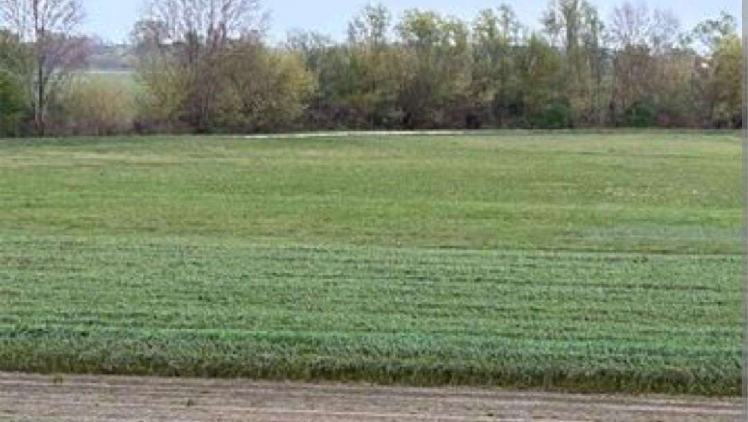 terreno agricolo in vendita a Massa