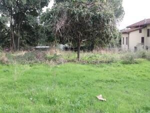 terreno agricolo in vendita a Massa
