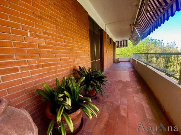 appartamento in vendita a Massa in zona Centro Storico