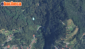 terreno agricolo in vendita a Massa in zona Bargana