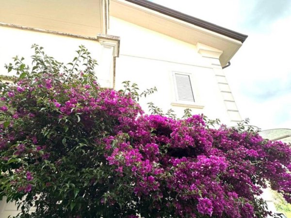 casa indipendente in vendita a Massa in zona Centro Storico