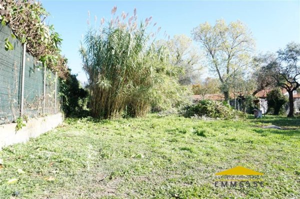 terreno agricolo in vendita a Massa