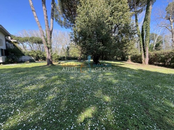 casa indipendente in vendita a Massa in zona Marina dei Ronchi