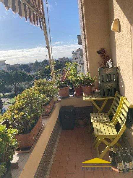 appartamento in vendita a Massa in zona Centro Storico