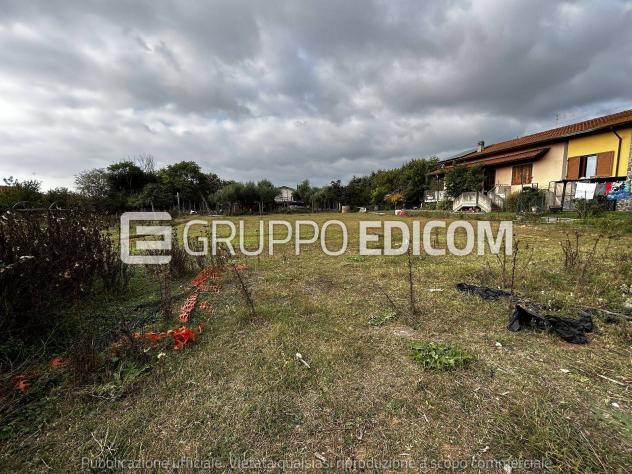 terreno agricolo in vendita a Massa