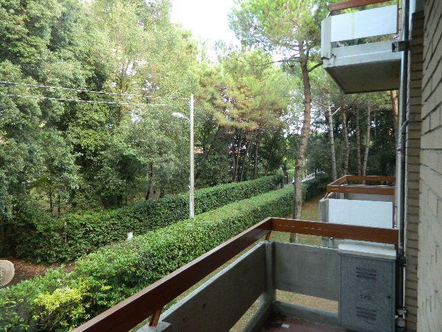 appartamento in vendita a Massa in zona Marina dei Ronchi
