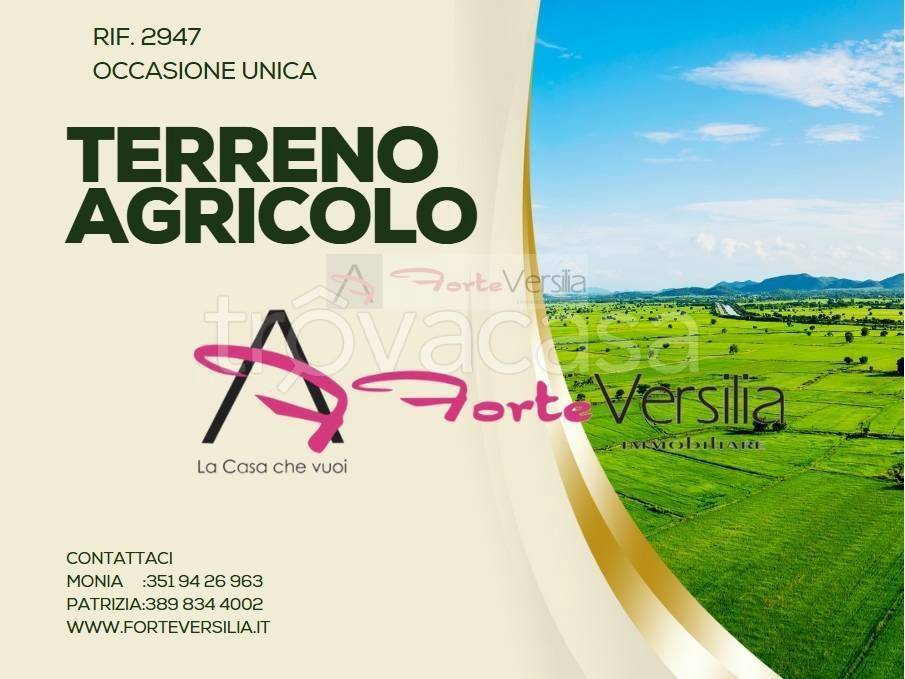 terreno agricolo in vendita a Massa in zona Poveromo