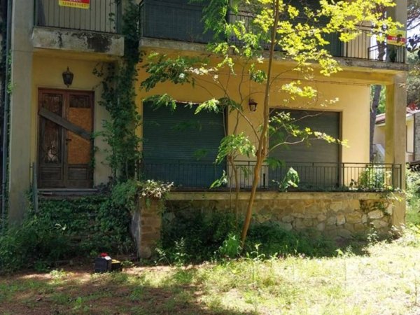 casa indipendente in vendita a Massa in zona Marina dei Ronchi