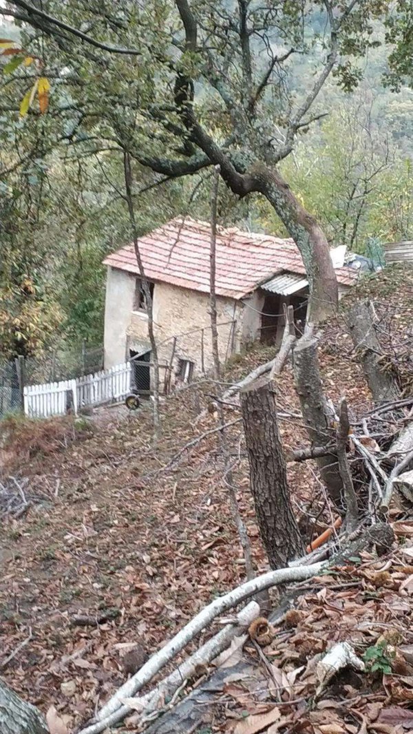 appartamento in vendita a Massa in zona Altagnana