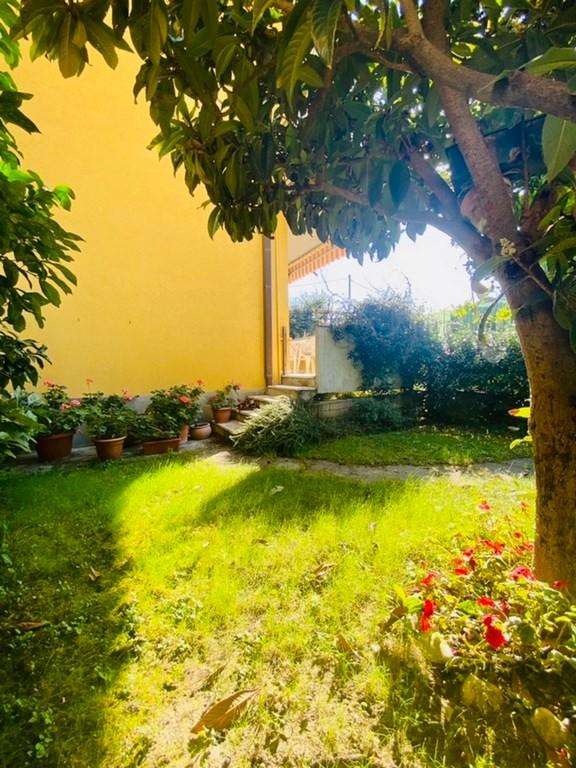 appartamento in vendita a Massa in zona Centro Storico