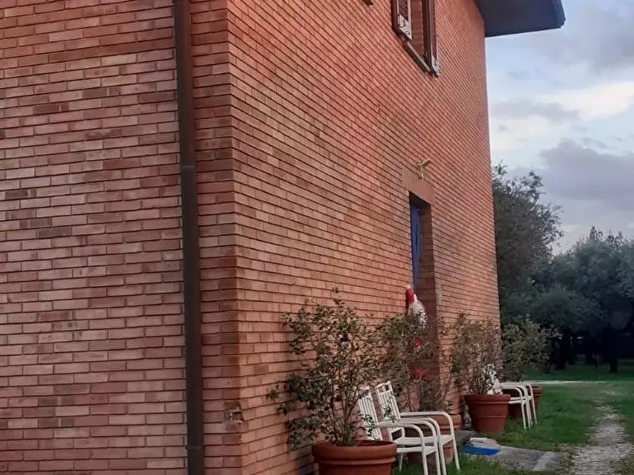 casa indipendente in vendita a Massa