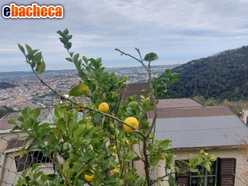 appartamento in vendita a Massa