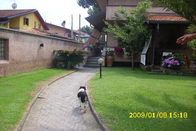 casa indipendente in vendita a Massa in zona Marina di Massa