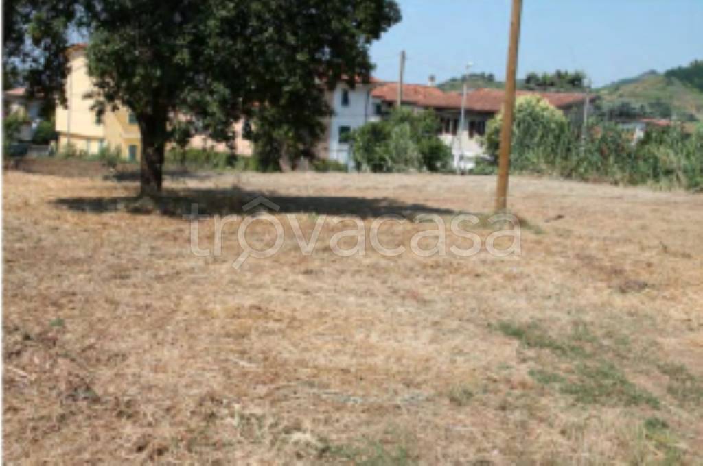 terreno agricolo in vendita a Massa