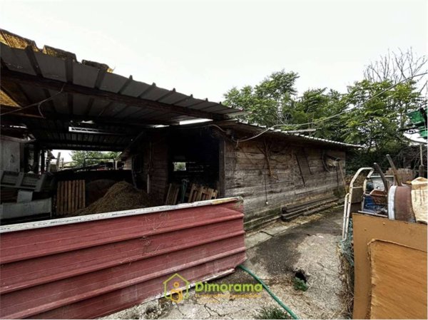 appartamento in vendita a Massa in zona Quercioli