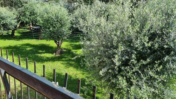casa indipendente in vendita a Massa in zona Centro Storico