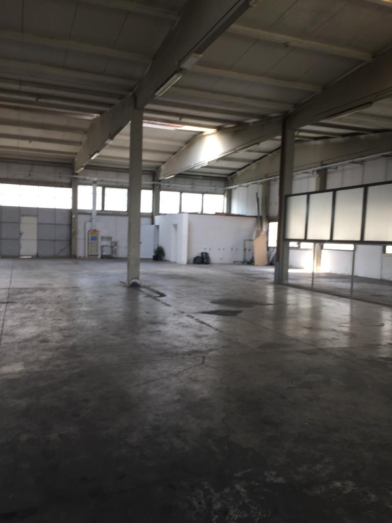 negozio in affitto a Massa