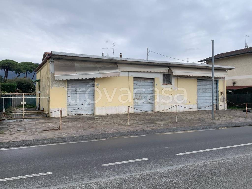 casa indipendente in vendita a Massa in zona Marina di Massa