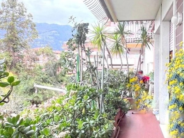 appartamento in vendita a Massa in zona Centro Storico