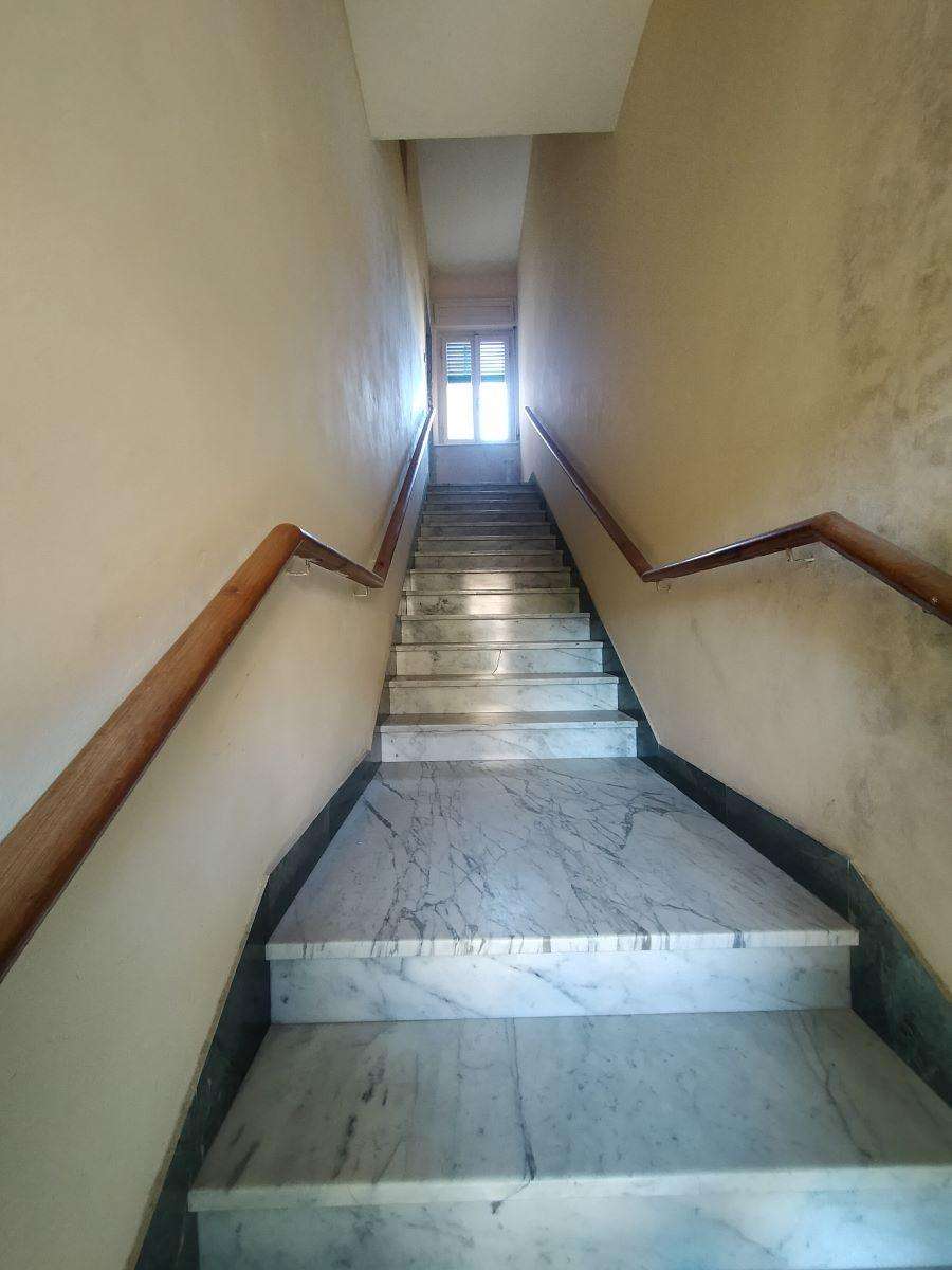 immagine annuncio 0 di 15