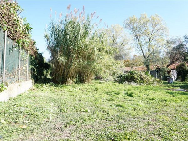 terreno agricolo in vendita a Massa in zona Quercioli