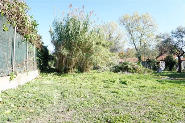 terreno agricolo in vendita a Massa in zona Quercioli