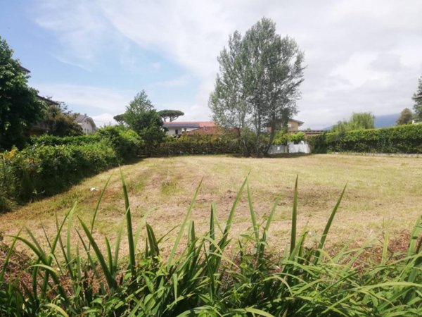 terreno agricolo in vendita a Massa