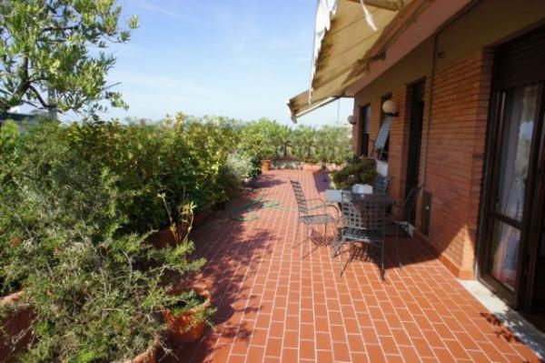 appartamento in vendita a Massa in zona Marina dei Ronchi