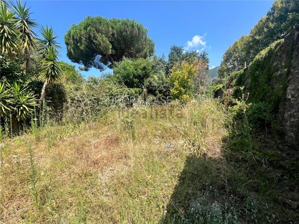 casa indipendente in vendita a Massa