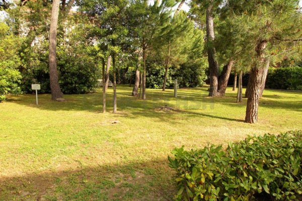 casa indipendente in vendita a Massa in zona Marina dei Ronchi