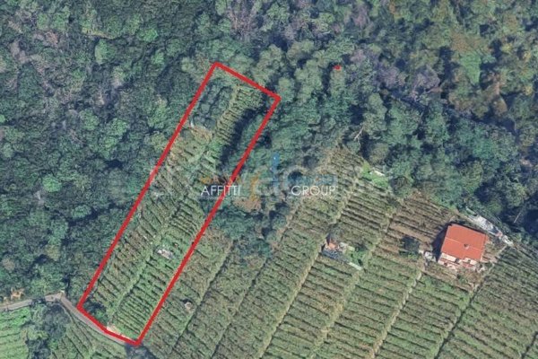 terreno agricolo in vendita a Massa in zona Candia