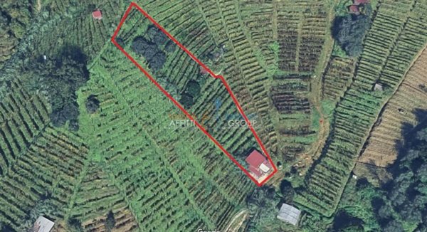 terreno agricolo in vendita a Massa in zona Candia