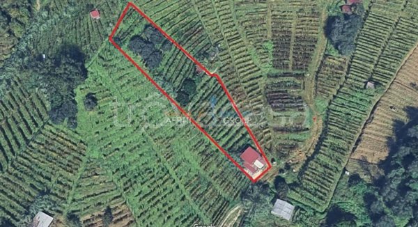 terreno agricolo in vendita a Massa in zona Candia