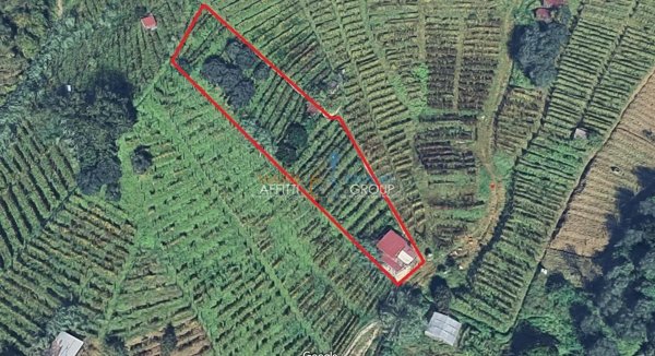 terreno agricolo in vendita a Massa in zona Candia