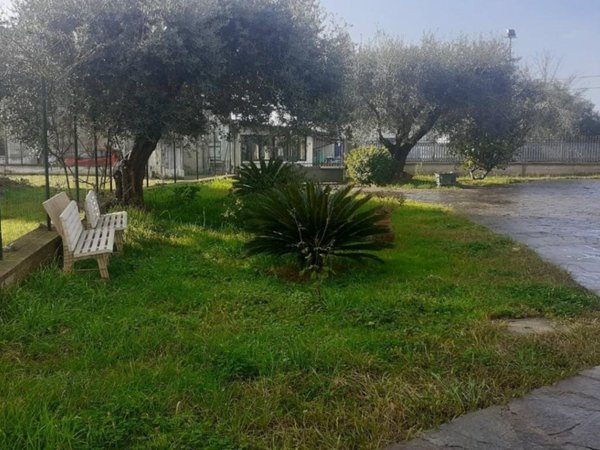 casa indipendente in vendita a Massa in zona Marina di Massa