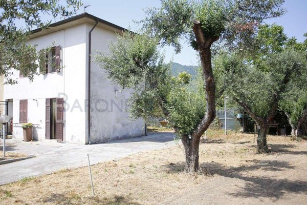 casa indipendente in vendita a Massa in zona Mirteto